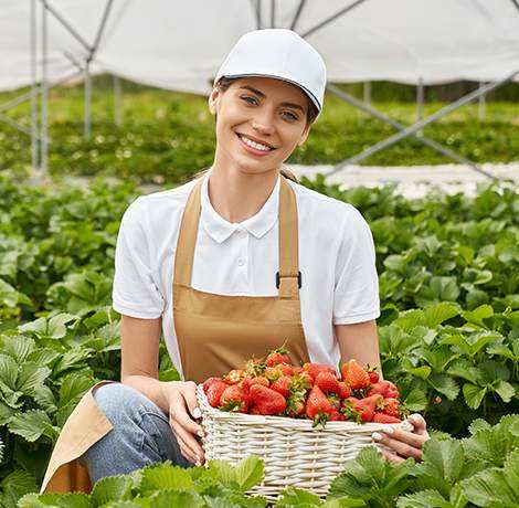 Fresh Goat Meat  and Milks