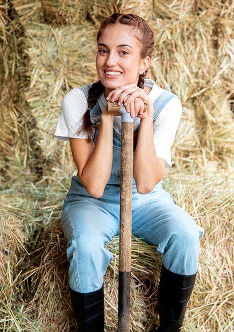 Fresh Sheep Meat  and Milks