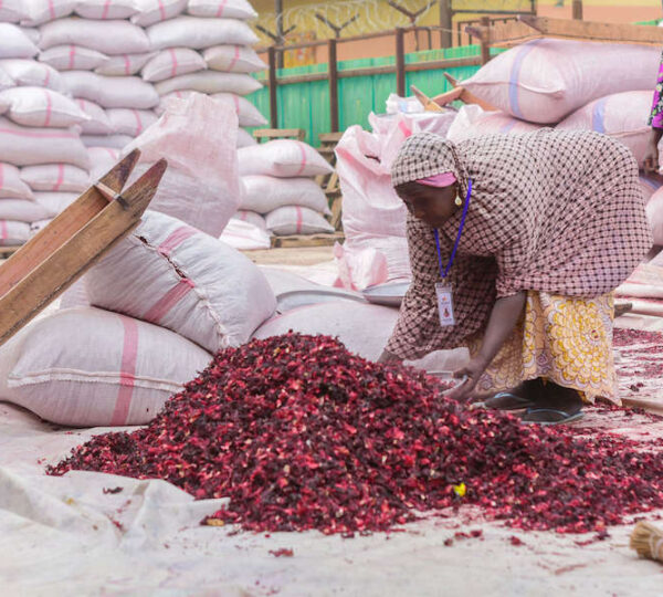 Sorting of the Hibiscus Flower