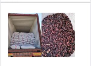 Loading dried hibiscus flower to truck