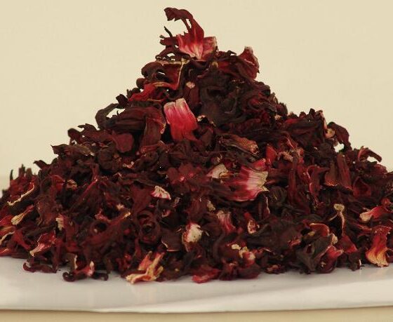 dried hibiscus flower