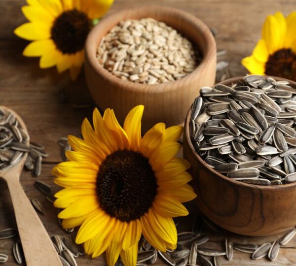 Sunflower Seeds