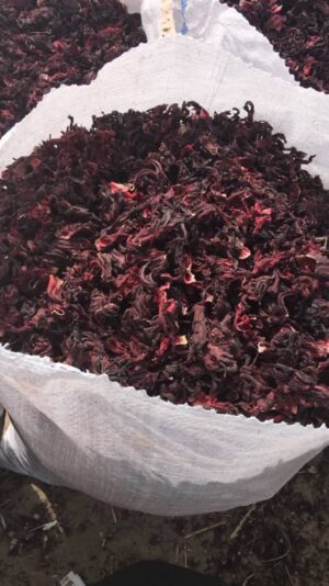 dried hibiscus flower
